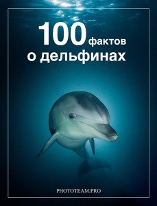 100 фактов о дельфинах
