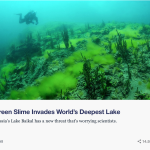 Green Slime Invades World's Deepest Lake